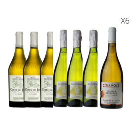 12 bouteilles - 3 Côtes du Jura Tradition et 3 Crément du Jura du Domaine Berthet Bondet, 6 Chignin Bergeron "Vendanges Manuelles", Domaine Plantin