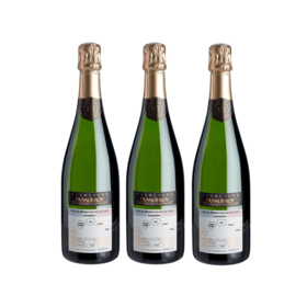 3 bouteilles - Champagne Cuvée "MOF", Maison Duval Leroy