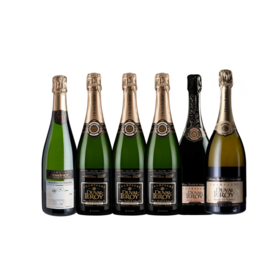 6 bouteilles de Champagne - Un champagne Cuvée MOF, un champagne Blanc de Blanc Grand Cru, un champagne rosé de prestige 1er Cru et 3 Champagnes Brut Réserve de la Maison Duval Leroy